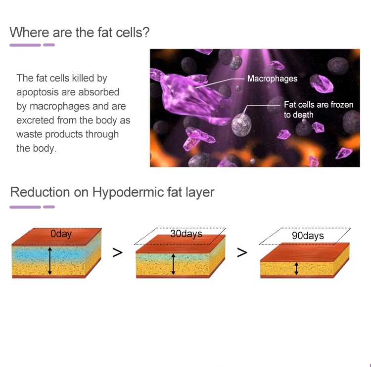 ETG50-9S04 ETG50-9S04